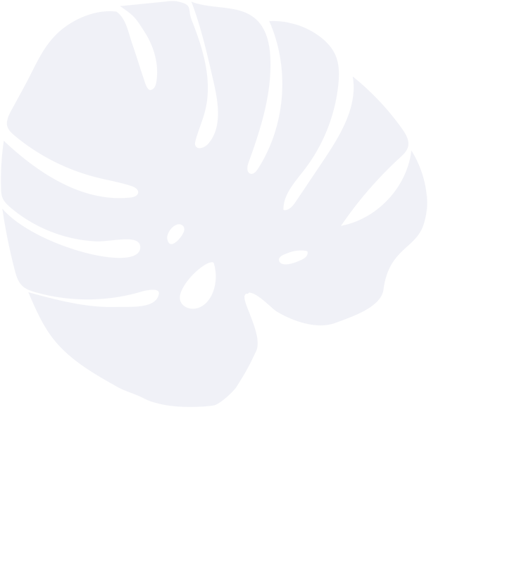 Layer